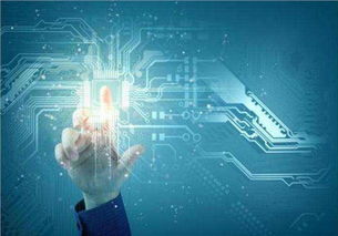 吳中區(qū)口碑佳、價格優(yōu)的系統(tǒng)開發(fā)與互聯(lián)網(wǎng)信息技術(shù)服務(wù)